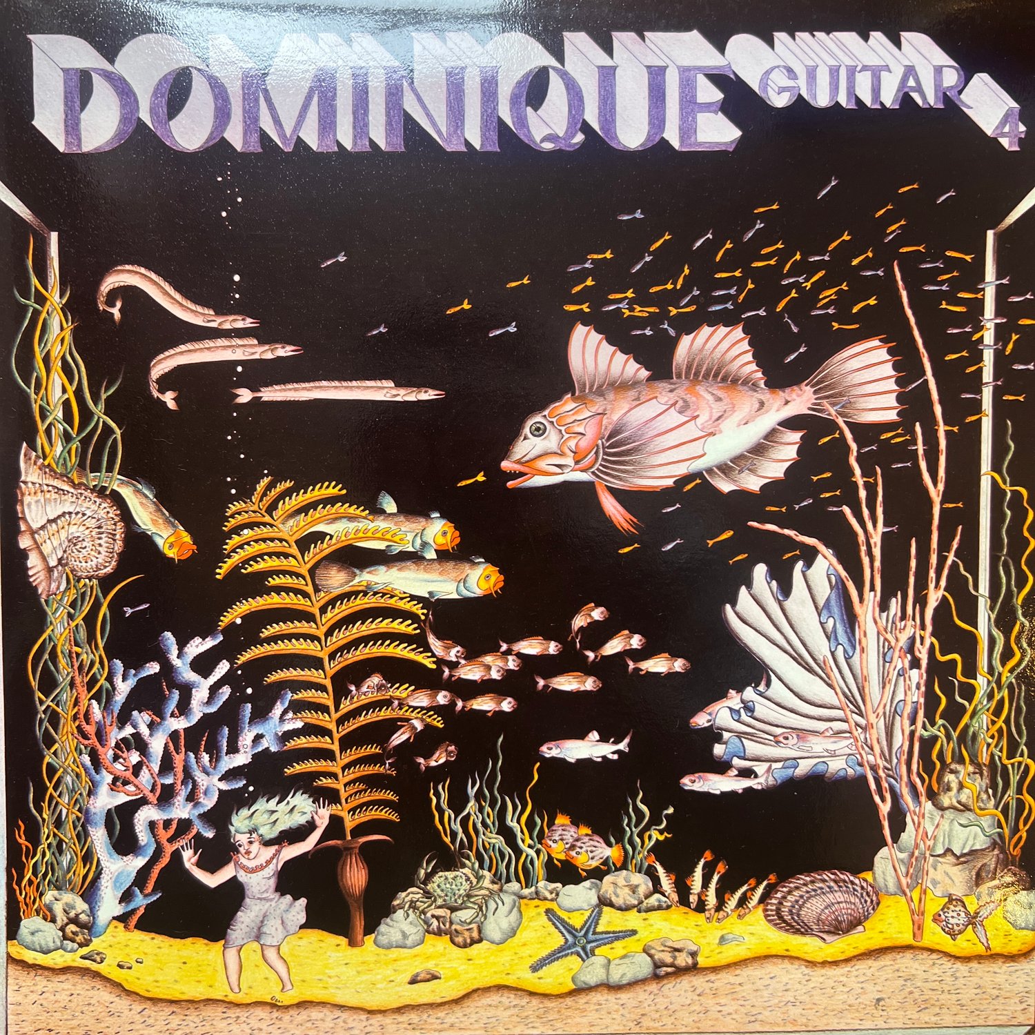 Image of Dominique - Guitar Boxset