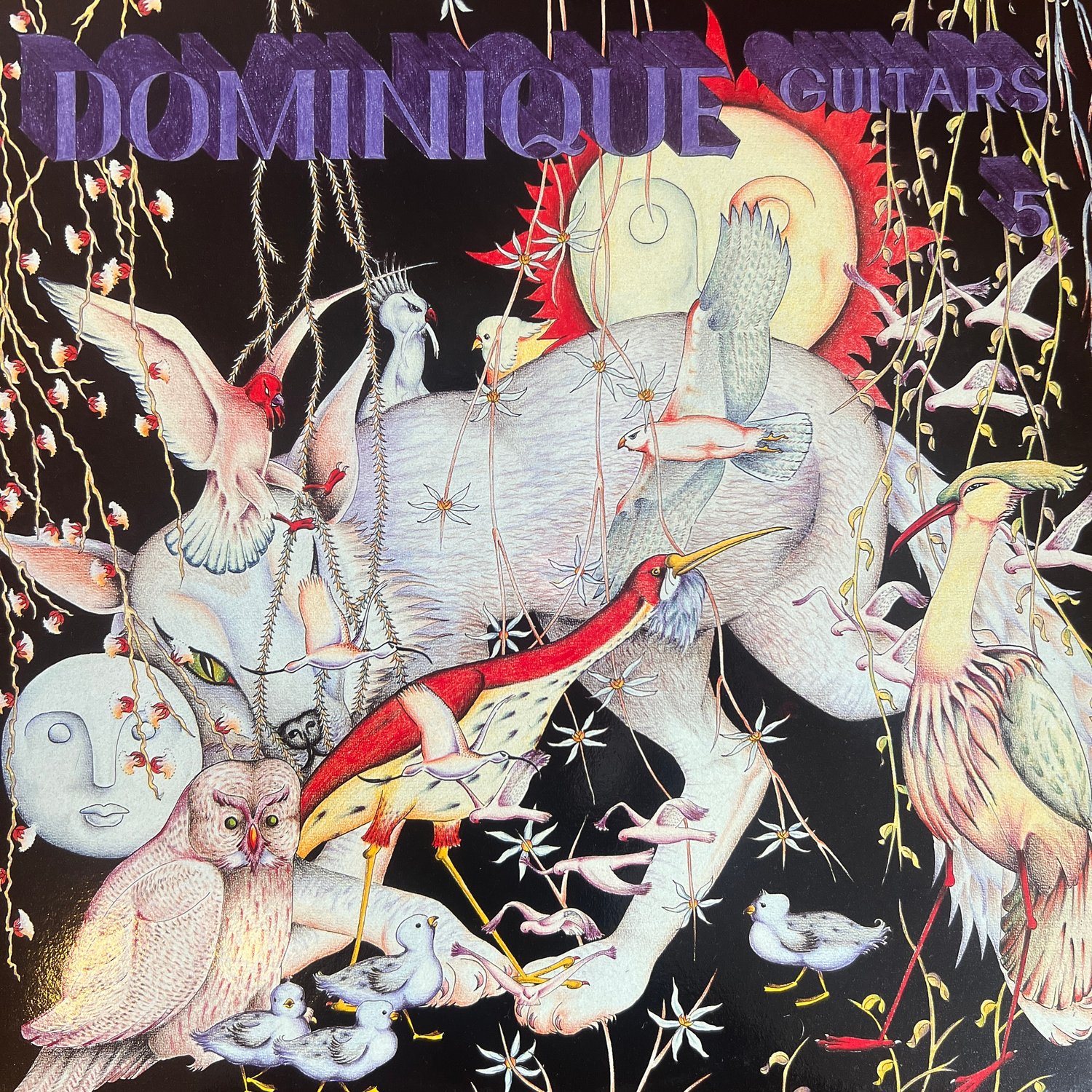 Image of Dominique - Guitar Boxset