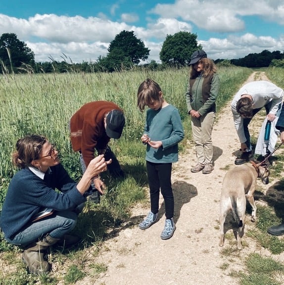 Image of SPRING FORAGING WALKS