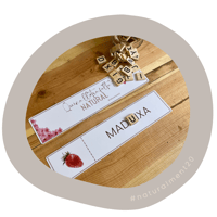 Image 5 of PRIMAVERA