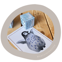 Image 4 of ANTARTIDA