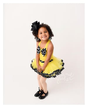 Image of 2026 Dance Minis