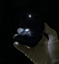 Image 2 of The Velvet Light Ring Box