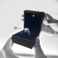 Image 3 of The Platinum Ring Box