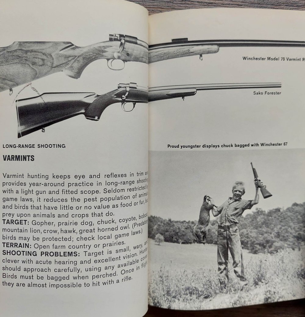 The Golden Guide to Guns - Complete Handbook of American Firearms, by Larry Koller