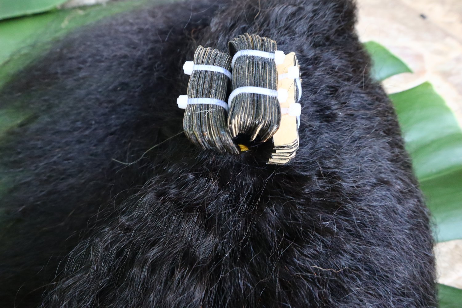 Image of S.E.A Goddess Curl Tape-Ins 