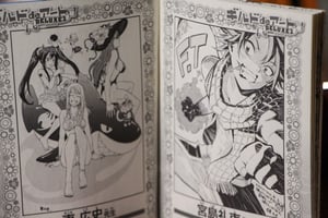 Image of Fairy Tail 38 JAPAN Ryuzetsu Land Special Edition Boxset