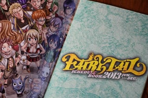 Image of Fairy Tail 38 JAPAN Ryuzetsu Land Special Edition Boxset