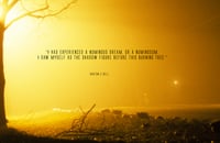 Image 2 of Paradise Found / Book of Photography pre-sale