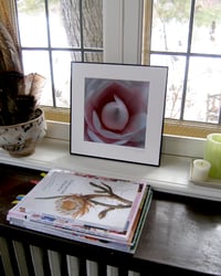 Image 2 of Flower Mandala Photograph - Waterlily