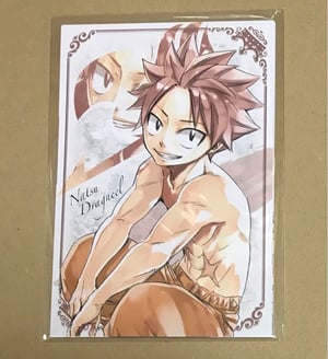 Image of Fairy Tail Japan Princess Cafe Exclusive Art Card Collection Set