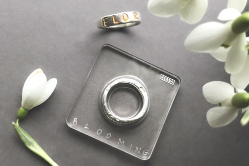 Image of silver classical ring with gold plated letters and inscription in Latin