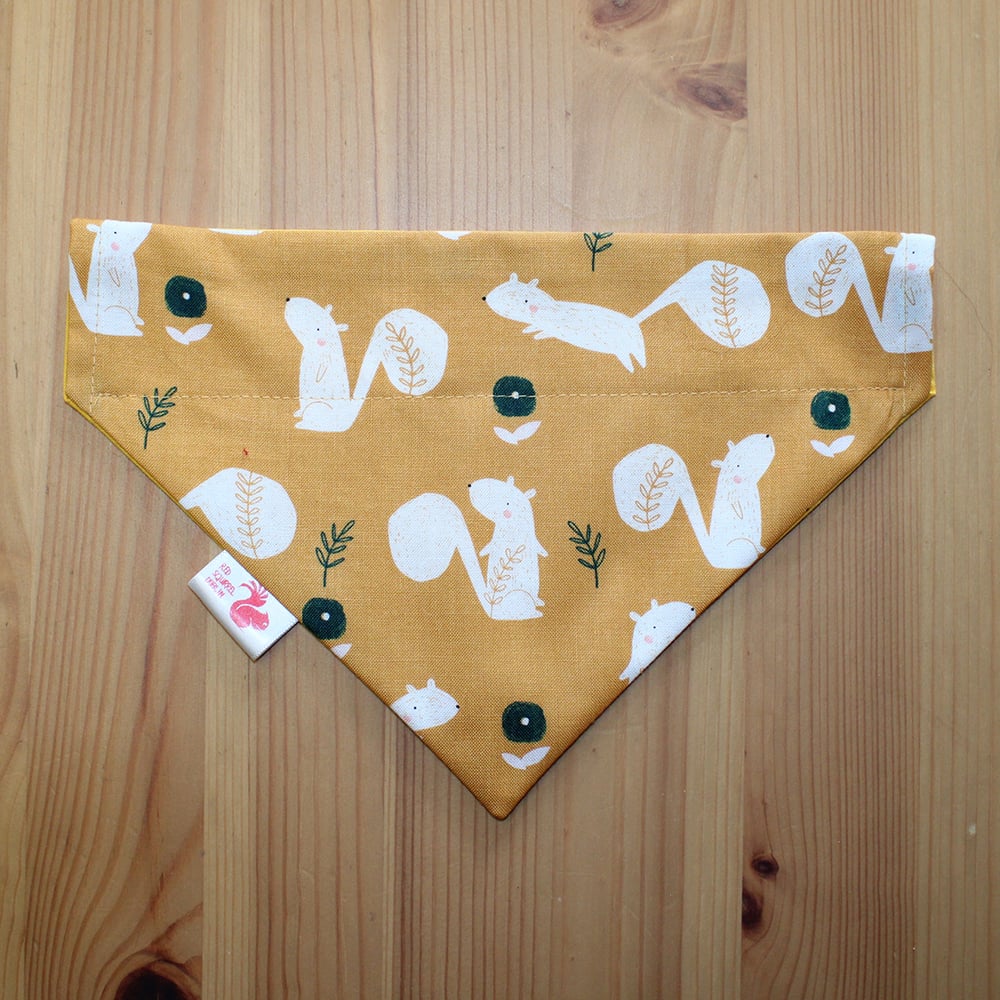 Image of Pesky Squirrels pet bandana