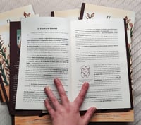 Image 5 of Libro EL MITO GENITAL. Un paseo creativo por el simbolismo sexual en la espiritualidad.