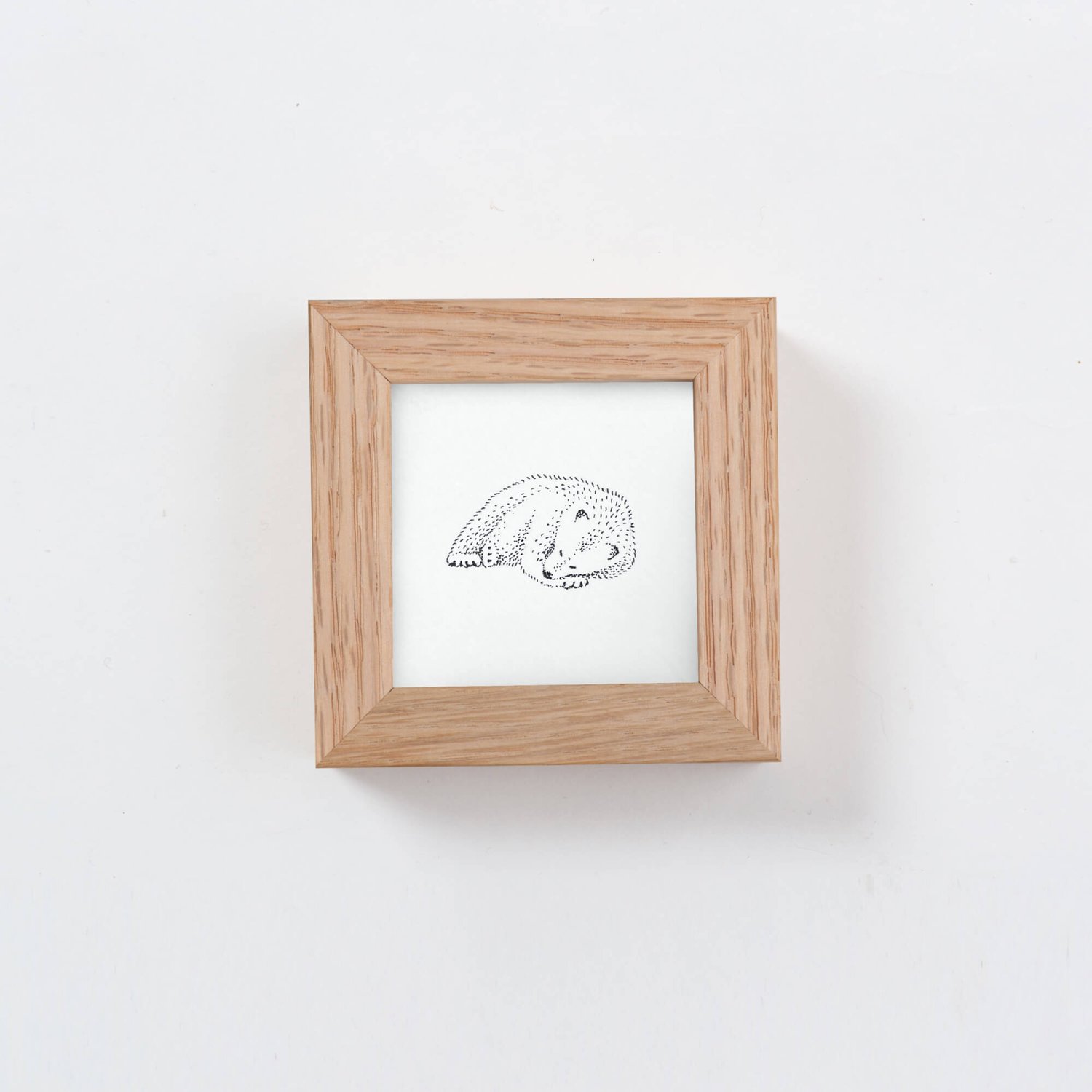 Tiny Bear
