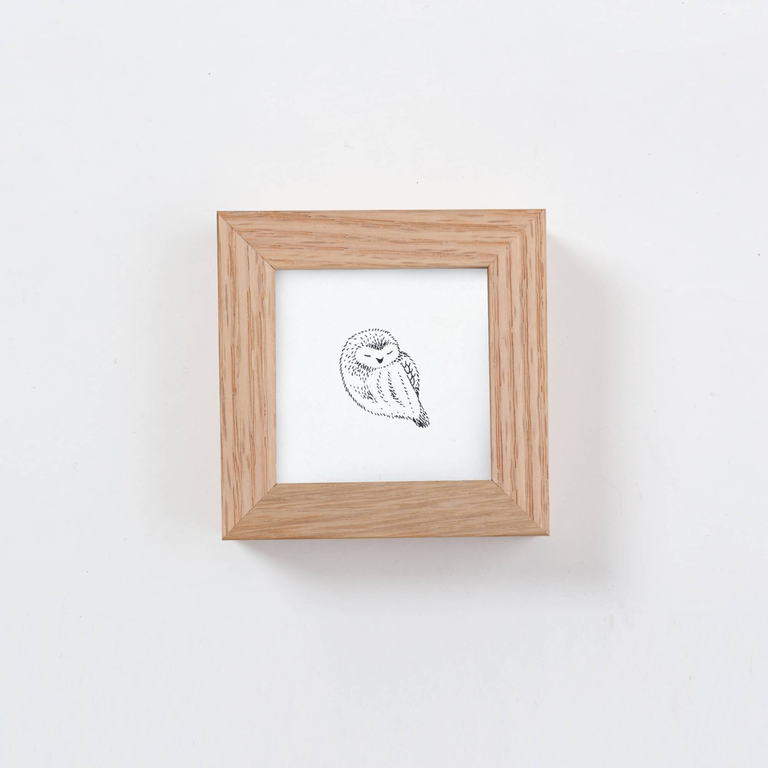 Tiny Owl