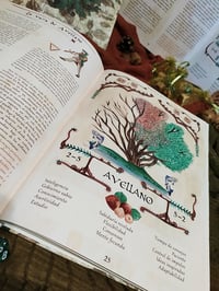 Image 3 of LIBRO BOSQUE DE LAS SUERTES