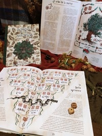 Image 2 of LIBRO BOSQUE DE LAS SUERTES