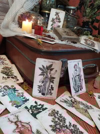 Image 4 of ORACULO DE PLANTAS