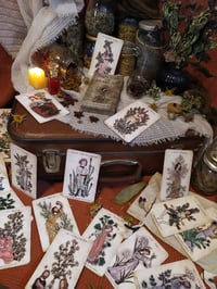 Image 2 of ORACULO DE PLANTAS