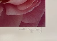 Image 4 of Flower Mandala Photograph - Waterlily