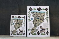 Image 2 of Print 'Mapa Arqueológico del Navia'