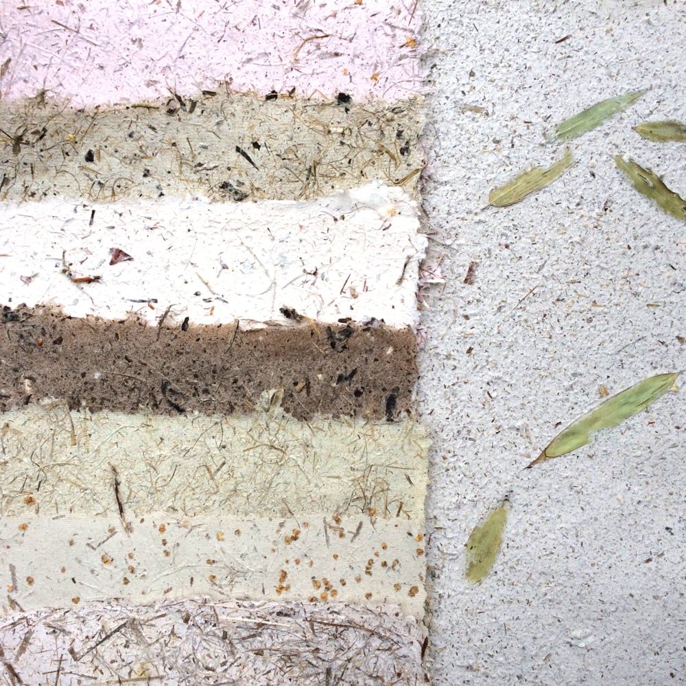Paper Making with Erica Just. Saturday 17th June 2023.