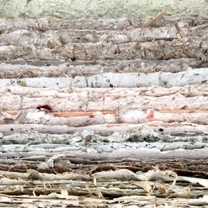 Paper Making with Erica Just. Saturday 17th June 2023.