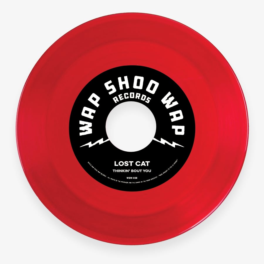 LOST CAT / BLACK MAMBAS - SPLIT SINGLE