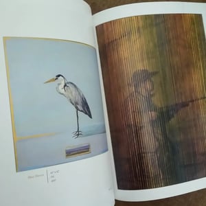 Image of Steve Emmett: Retrospective Book