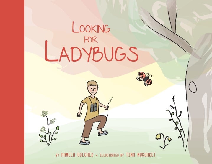 Image of Looking for Ladybugs Hardback Book