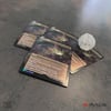 Lotus Field artist proof #6