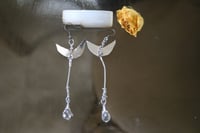 Image 2 of Moon sliver earnings 