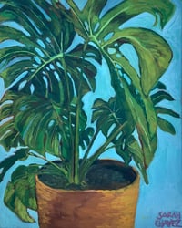 Image 1 of Monstera #1