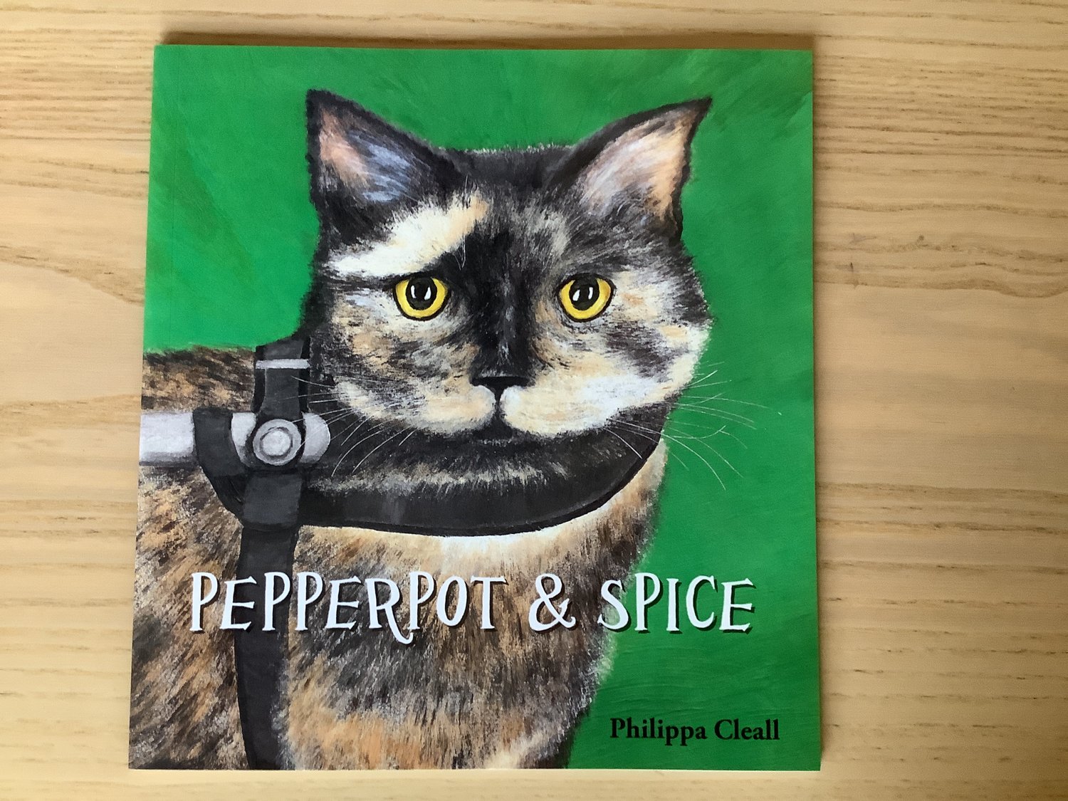 Image of Pepperpot and Spice