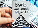 Zine: Sharks Are Friends Not Food