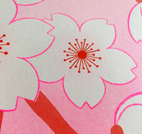 Image 3 of Sakura - Affiche 
