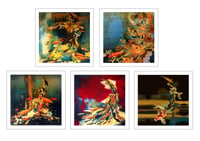 Image 3 of Lily Greenwood Greetings Cards - Koi Collection - 5 Blank Cards with Envelopes