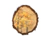 Madera 11