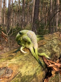 Image 1 of specimen [2] 