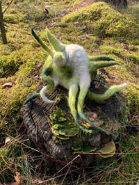 Image 2 of specimen [2] 