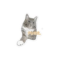 Paquito the Cat PURR Sticker