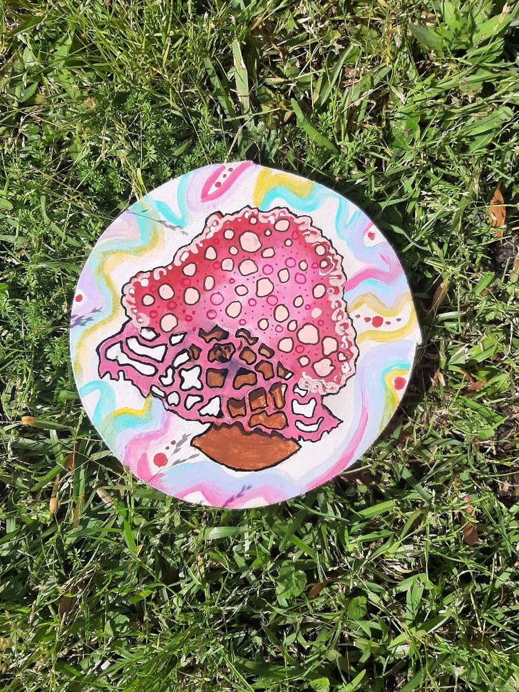 Image of Veiled Lady 