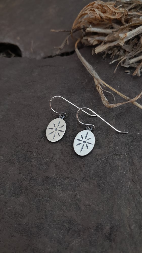 Image of Star Earrings 