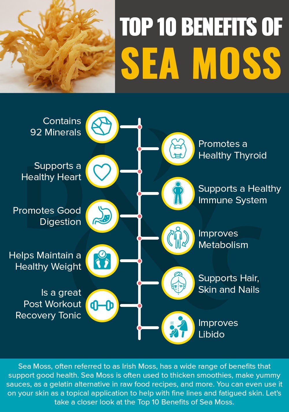 Top 5 health benefits of sea moss