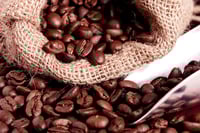 How To Identify Right Quality of Coffee Beans? 
