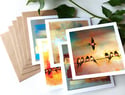 Lily Greenwood Greetings Cards - Rural Collection - 5 Blank Cards with Envelopes