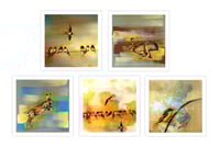 Image 3 of Lily Greenwood Greetings Cards - Rural Collection - 5 Blank Cards with Envelopes