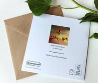 Image 4 of Lily Greenwood Greetings Cards - Rural Collection - 5 Blank Cards with Envelopes