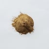 Lions Mane x25 Extract